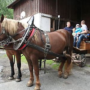 Ausflug zum Pfahlhof_11