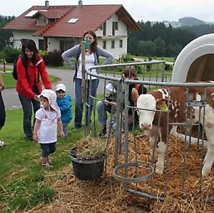 Ausflug zum Pfahlhof_13