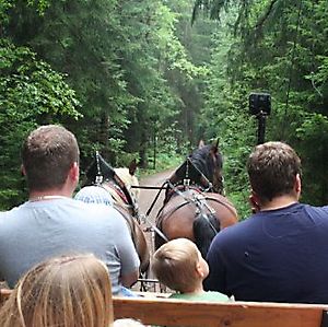 Ausflug zum Pfahlhof